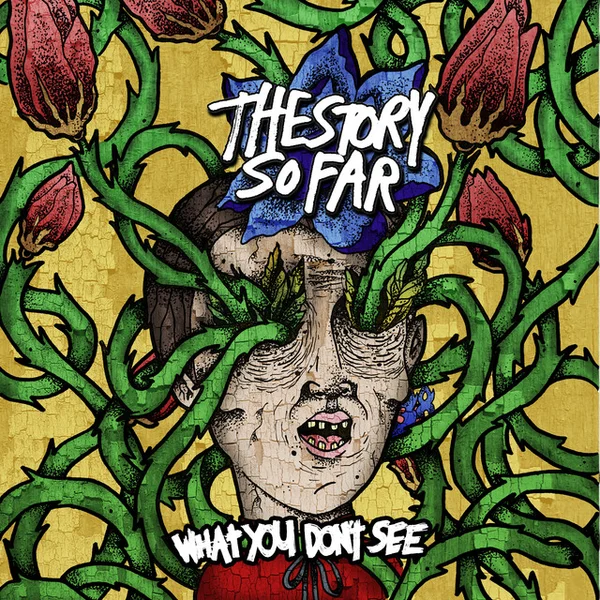 The Story So Far — What You Don't See